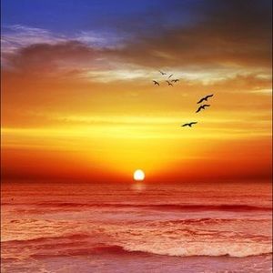 Meet your Posher, Charles